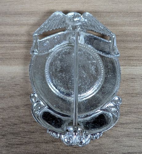 City of Mt. Pulaski Illinois Police Department Eagle Top Shield Badge