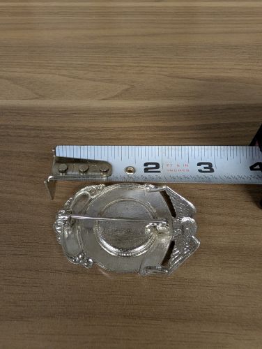 City of Mt. Pulaski Illinois Police Department Eagle Top Shield Badge