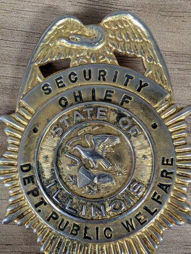 Obsolete State of Illinois Department of Public Welfare Security Chief Badge