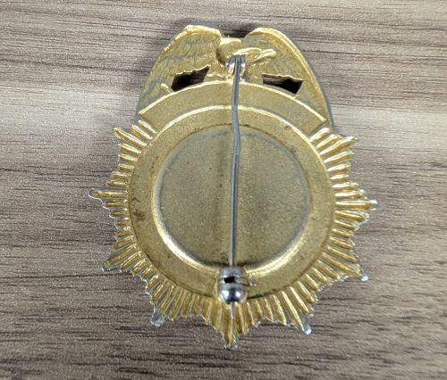 Obsolete State of Illinois Department of Public Welfare Security Chief Badge