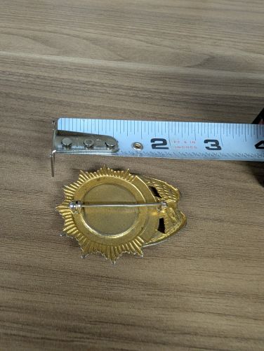Obsolete State of Illinois Department of Public Welfare Security Chief Badge