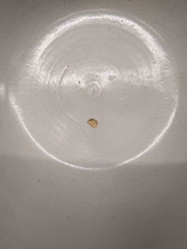 Antique Yellowware Shoulder Rim Mixing Bowl