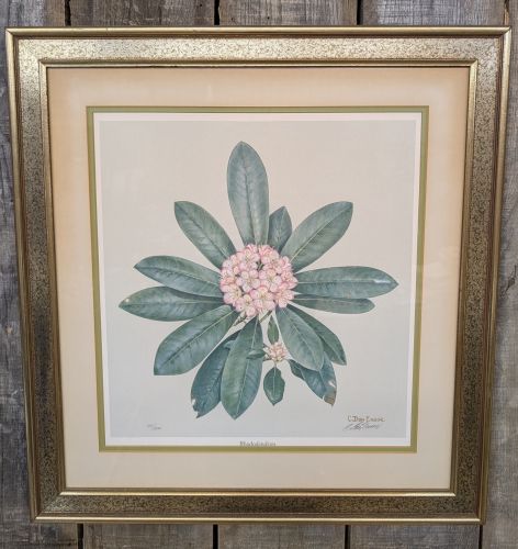 C. Don Ensor Signed Limited Edition Rhododendron Offset Lithograph