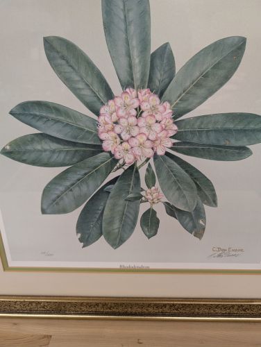 C. Don Ensor Signed Limited Edition Rhododendron Offset Lithograph