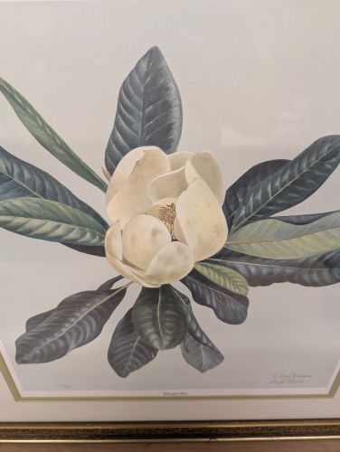 C. Don Ensor Signed Limited Edition Magnolia Print