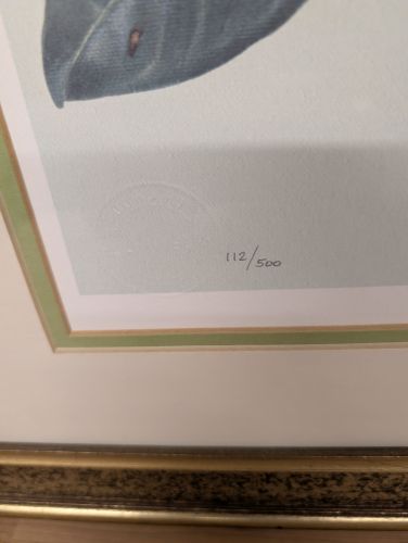 C. Don Ensor Signed Limited Edition Magnolia Print
