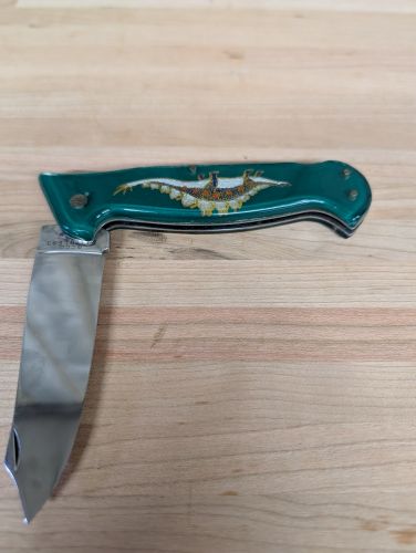 G.C.C.O. Green Dragon and Stegosaurus Theme Large Folding Pocket Knife