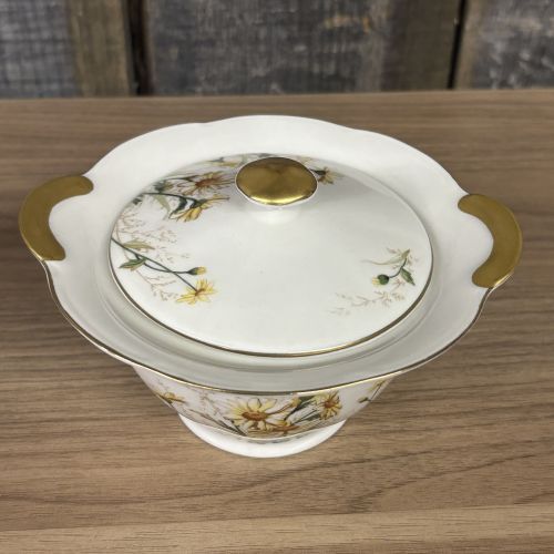 A Pair of Theodore Haviland New York Porcelain Shasta Pattern Creamer and Covered Sugar Bowl