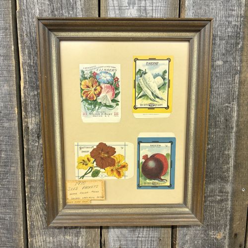 William D. Burt. A Collection of Four Vintage Unused Seed Packets. William D. Burt, Circa 1910.