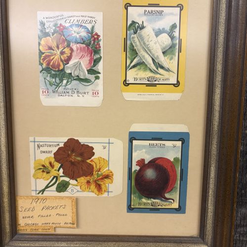 William D. Burt. A Collection of Four Vintage Unused Seed Packets. William D. Burt, Circa 1910.