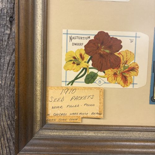 William D. Burt. A Collection of Four Vintage Unused Seed Packets. William D. Burt, Circa 1910.