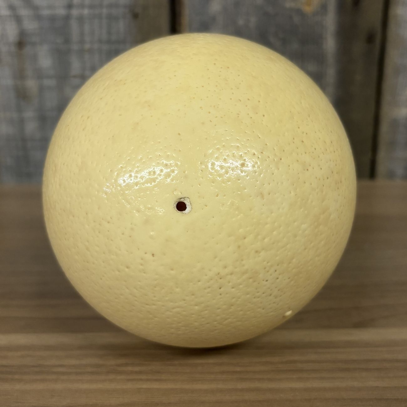 Large Ostrich Egg Specimen
