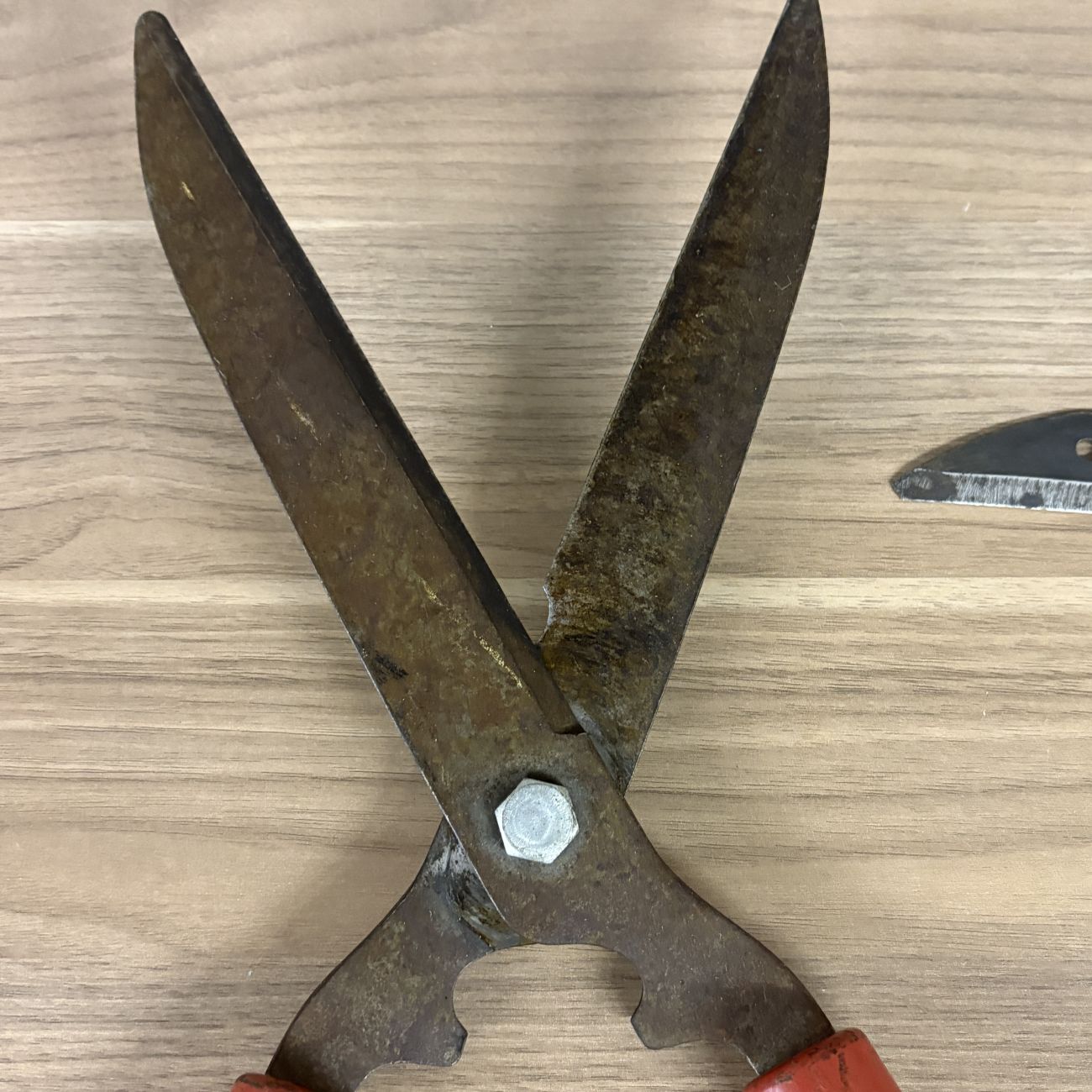 Two Vintage Cyclone Garden Tools Including Hedge Shears and Grass Sickle