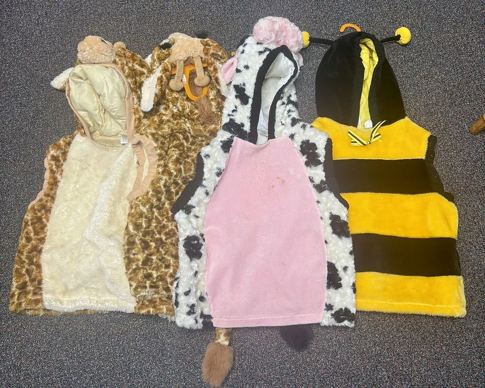Lot 456: A Group of Children's Animal-Themed Plush Hooded Costume Vests