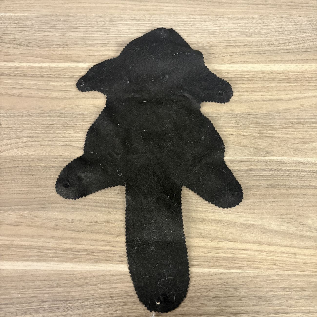 Squirrel Pelt Flat Rug Mount on Felt Backing