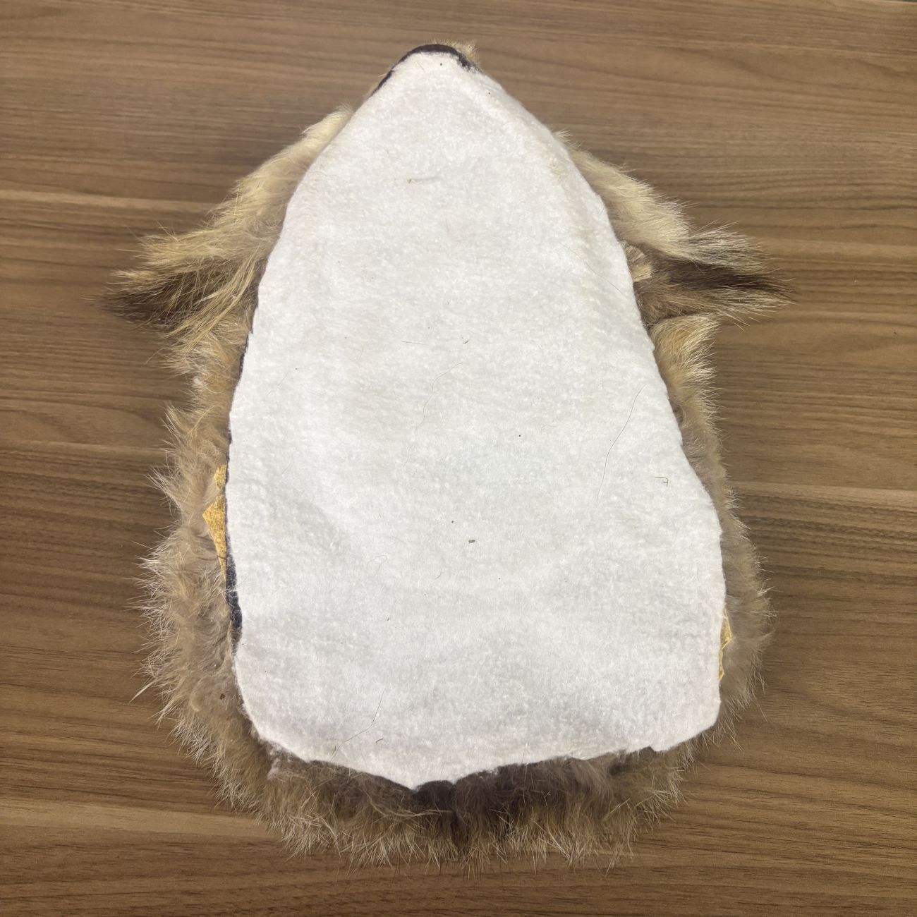 Taxidermy Bobcat Head Mount