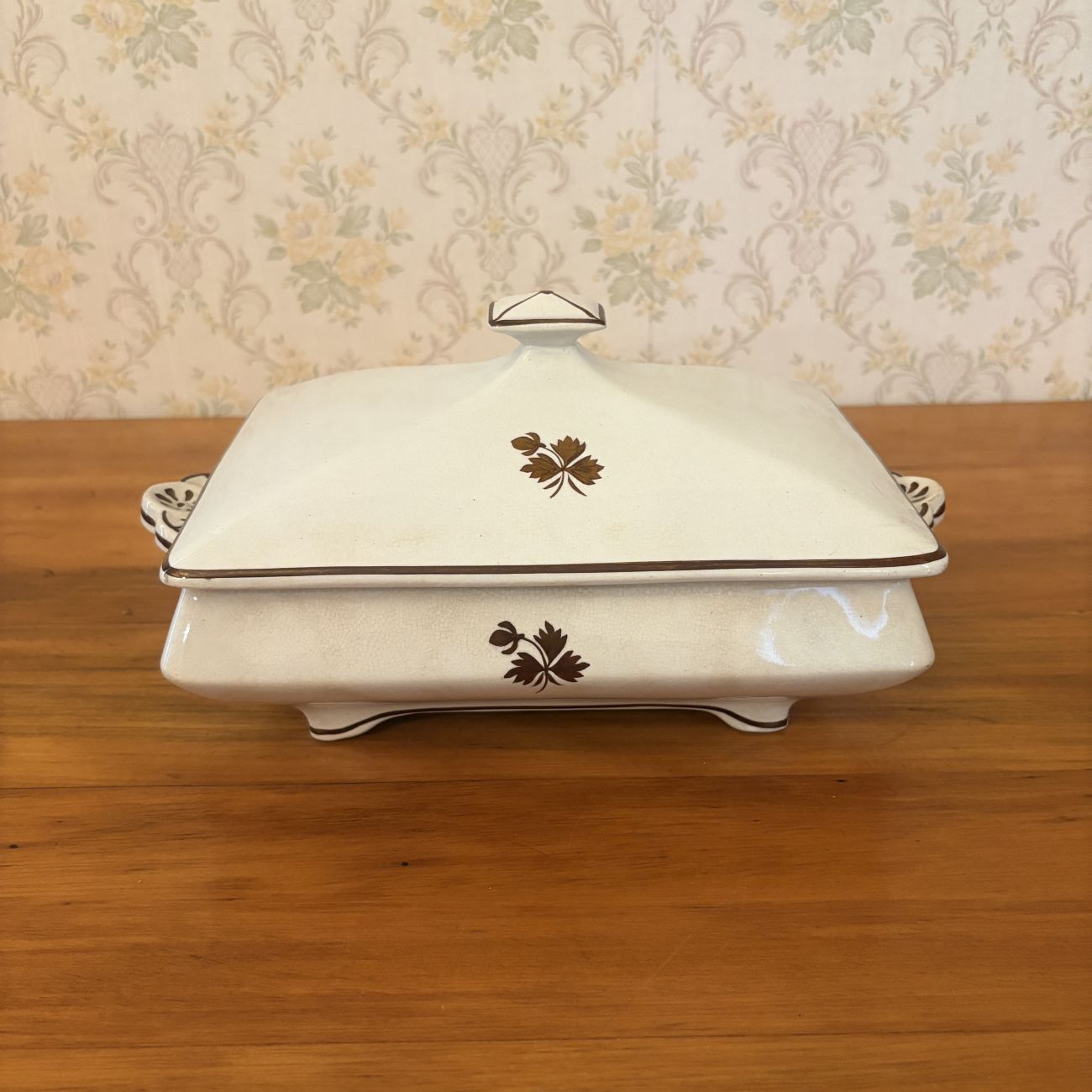 Anthony Shaw and Son Opaque Stone China Tea Leaf Pattern Rectangular Covered Vegetable Tureen