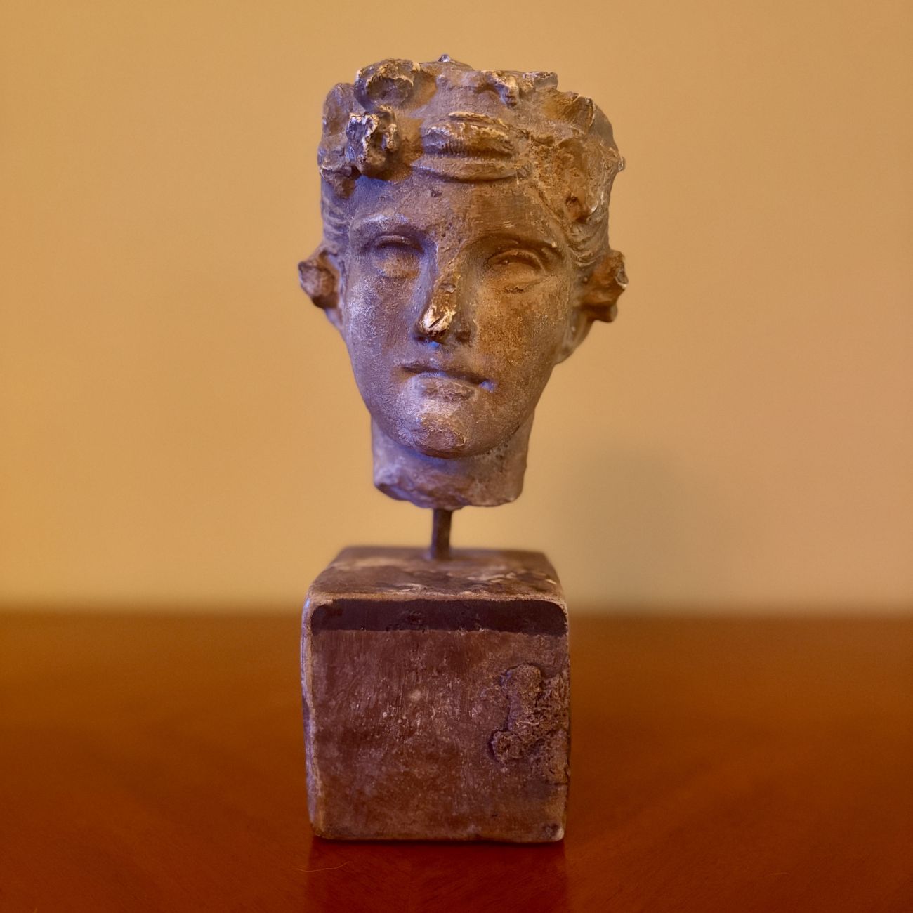 Classical Style Cast Composite Male Head Bust on Plinth