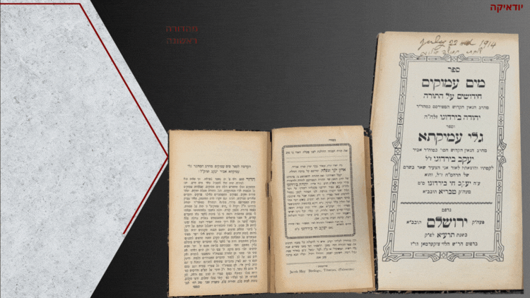 מהדורה יחידה! מים עמוקים, חידושים על התורה מהרב הגאון הקדוש יהודה בירדוגו זלה"ה ועם פירוש גלי 