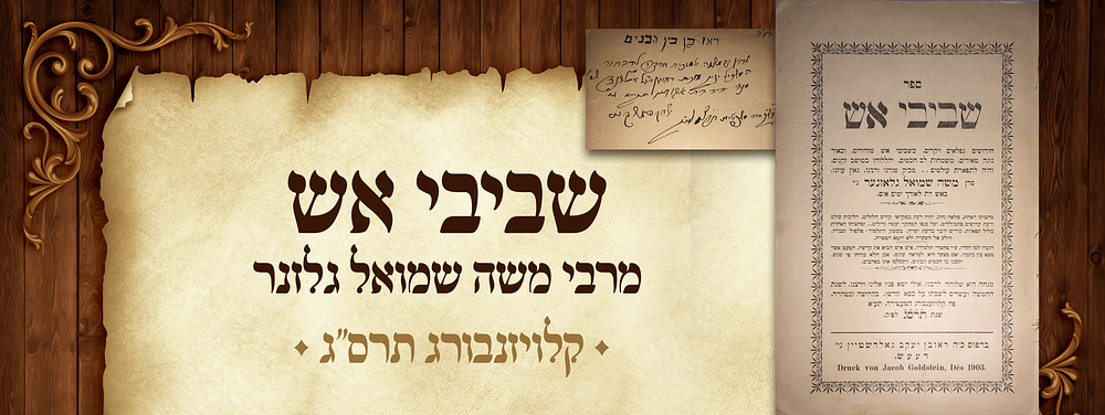 שביבי אש - דרשות וביאורים על התורה, עם חידושים על מסכתות פסחים, נדרים, גיטין, וחולין, מאת הרב 