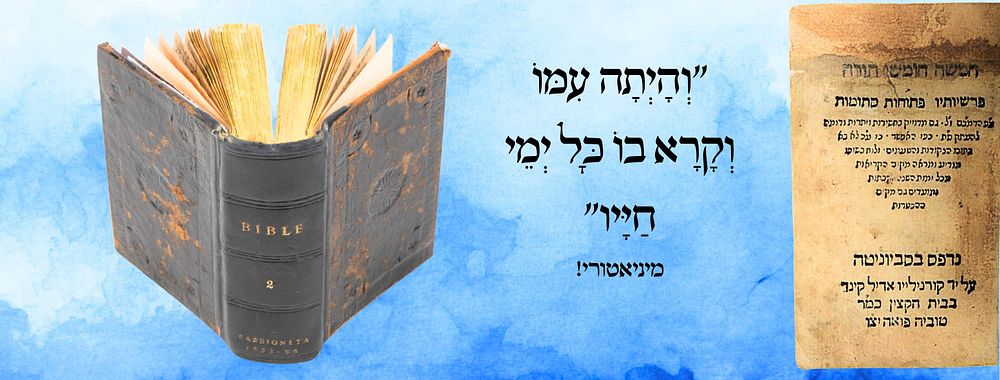 מיניאטורי! חמשה חומשי תורה, סביוניטה שי"ד - עותק בעל 'תהלה לדויד' 
חמשה חמשה תורה, דפוס טוביה 