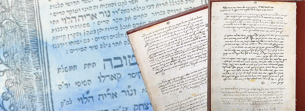 חידושים מספר 'דבש אריה' בכתב יד 'הרב גאל"י' בעל ה'גור אריה' ממנטובה - לא נדפס! 
חידושים בכתב 