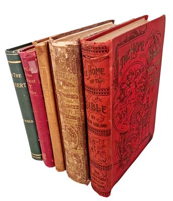 Collection of travel books in Palestine - Land of Israel, Holy Land, photographs, engravings