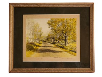 David Davidson - Colored Landscape Photo. Item/Description: David Davidson hand-colored and 
