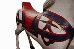 Carved Polychrome Wood Carousel Horse. Item/Description: Folk art carved and painted white Image - 4