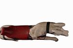 Carved Polychrome Wood Carousel Horse. Item/Description: Folk art carved and painted white Image - 7