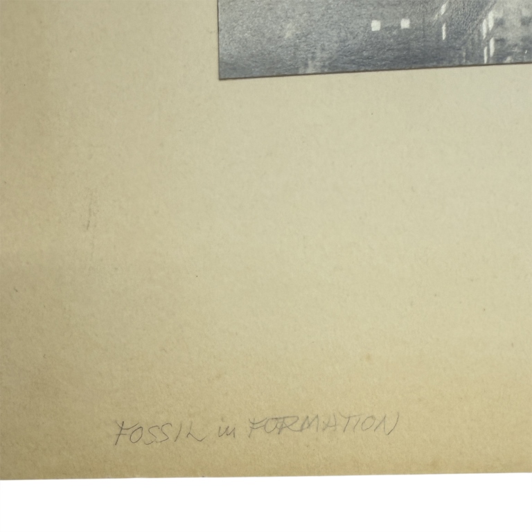 Barbara Morgan, NYC - Fossil Photomontage