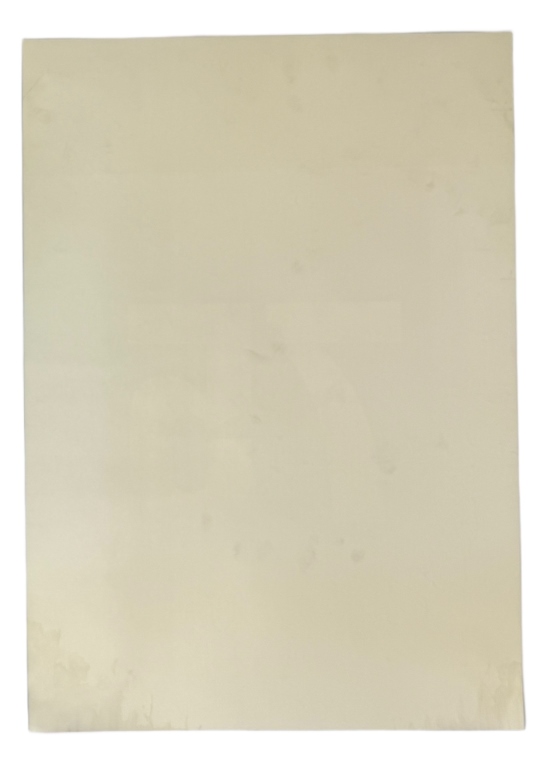 Signed Paul Rand IBM 75 Lithograph Poster
