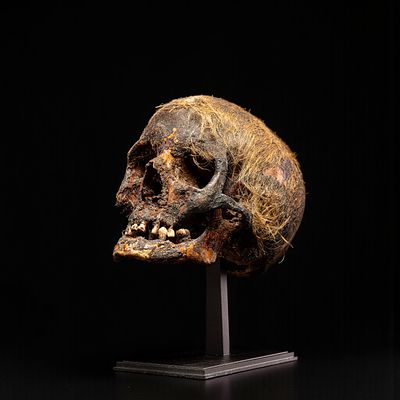 Ancient Egyptian skull with remains of hair, Roman period (1st century BC – 4th century AD). Bone 