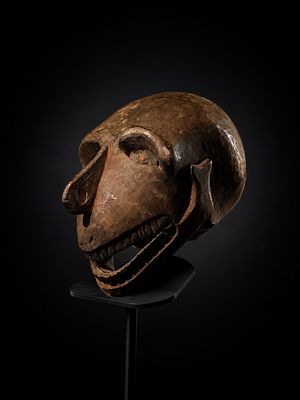 Very Rare Asmat Skull - New Guinea - early 20th century. 13 x 18 x 13 cm. Originally acquired by 
