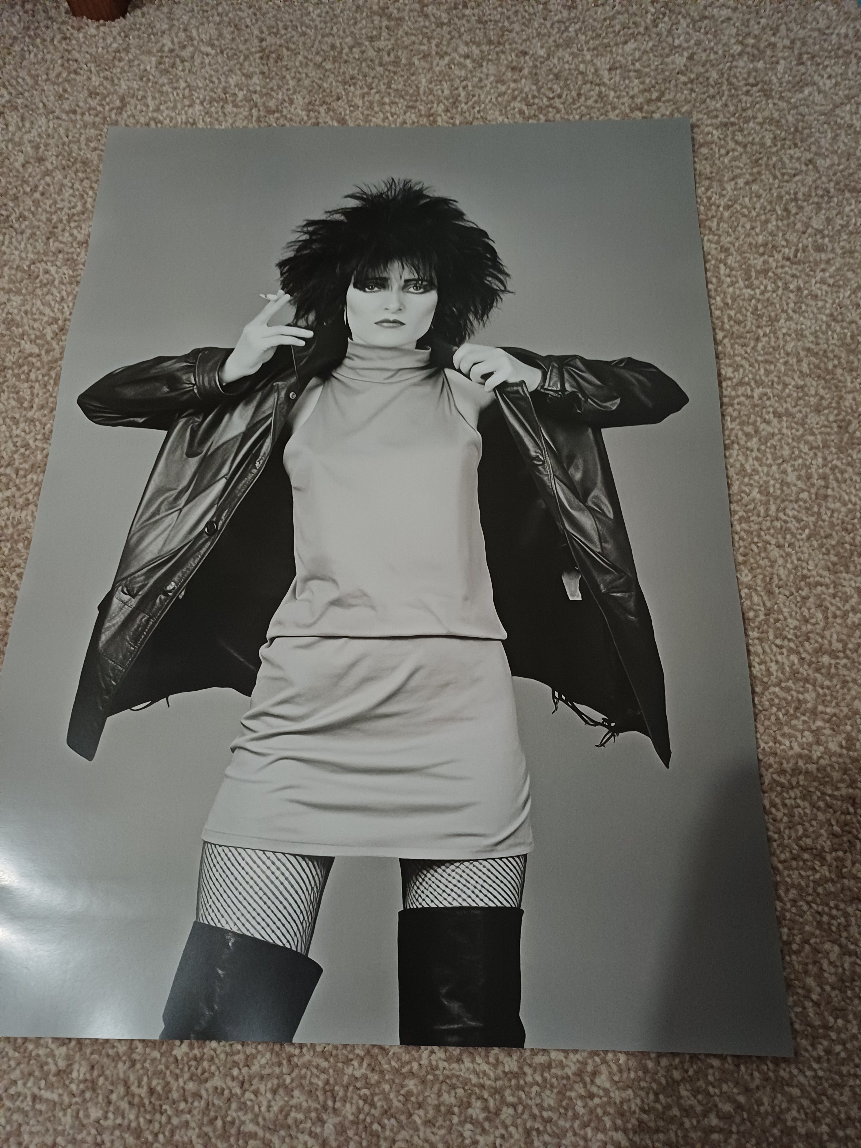 Siouxie and the Banshees poster A3