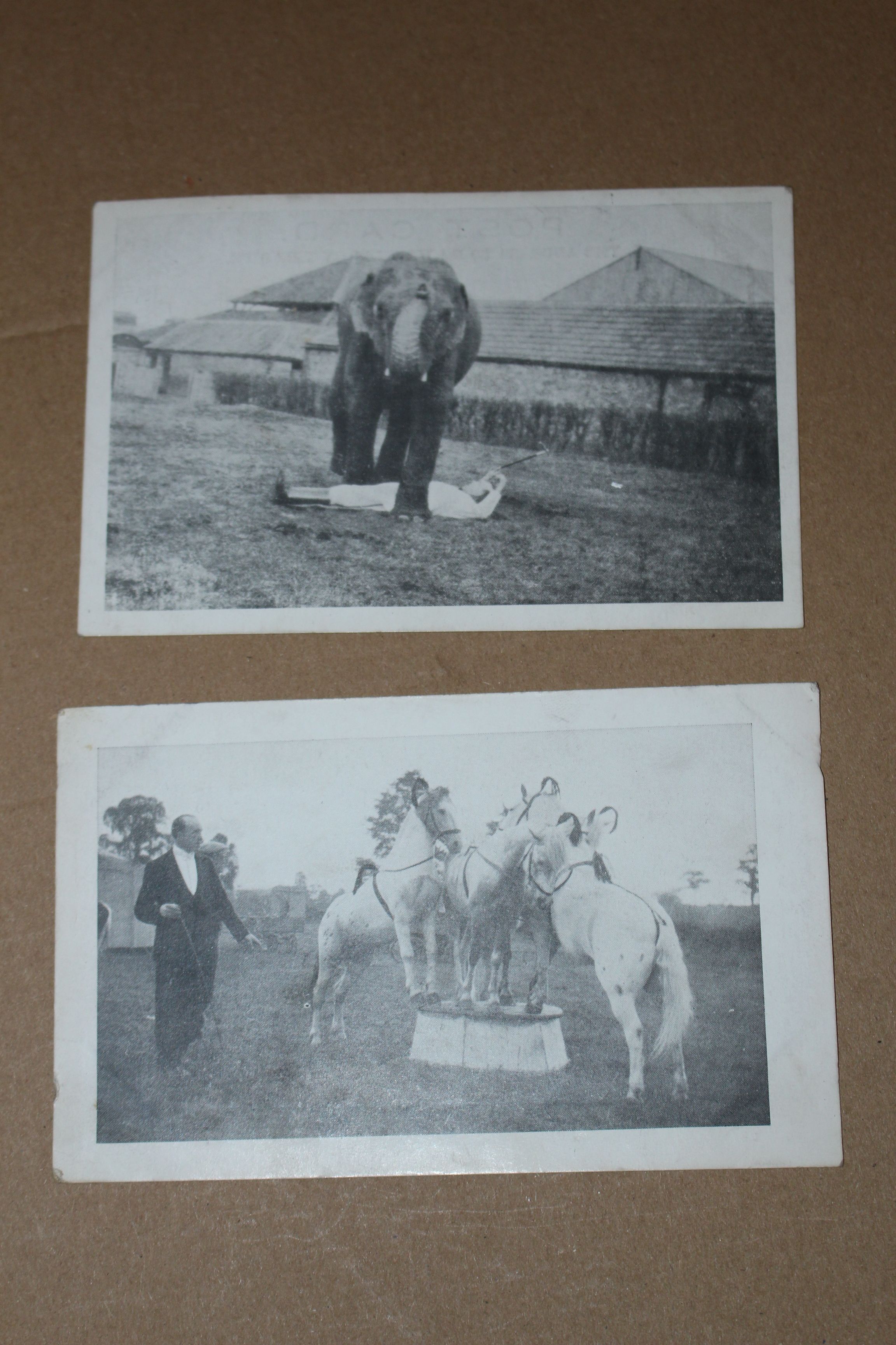 2 Circus performer postcards