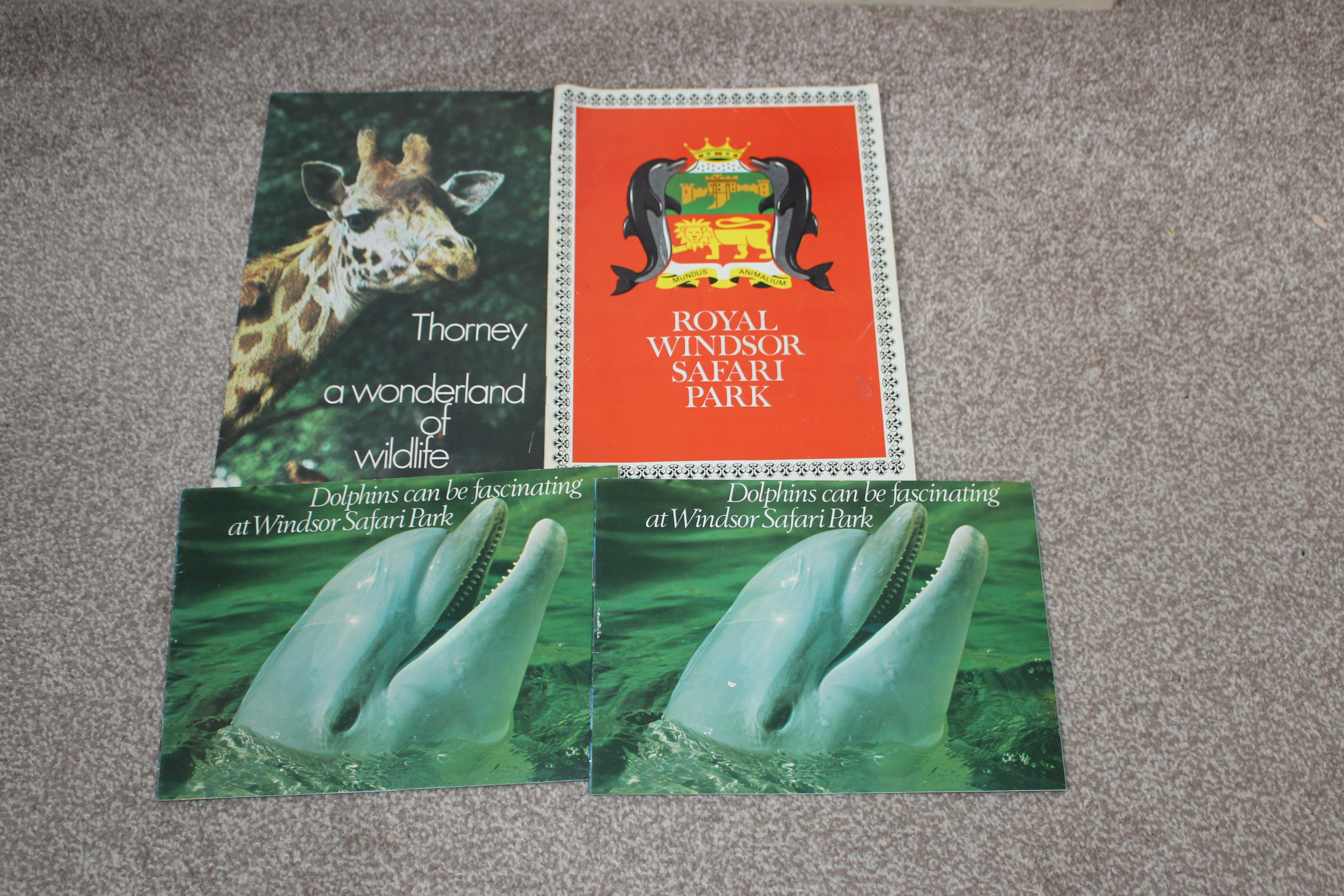 4 animal park brochures