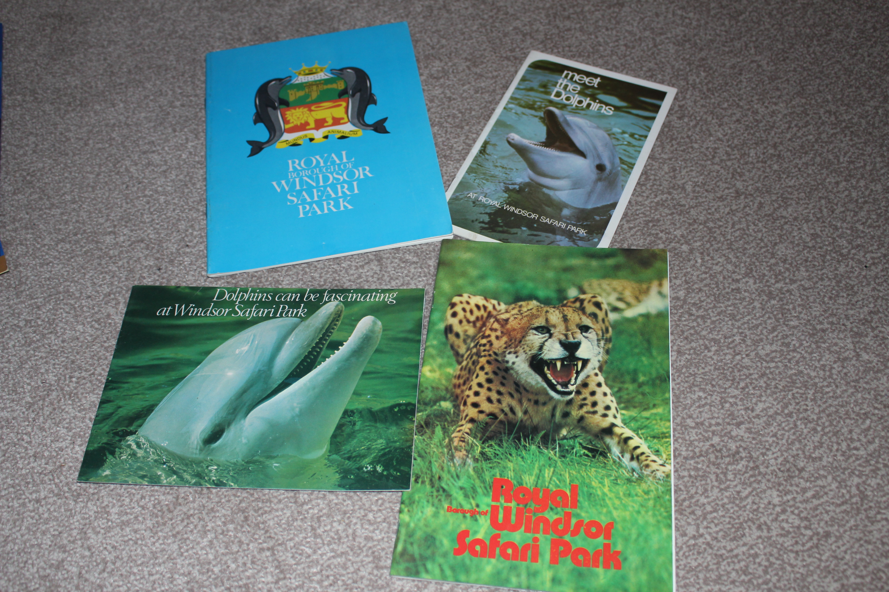 4 Safari Park booklets