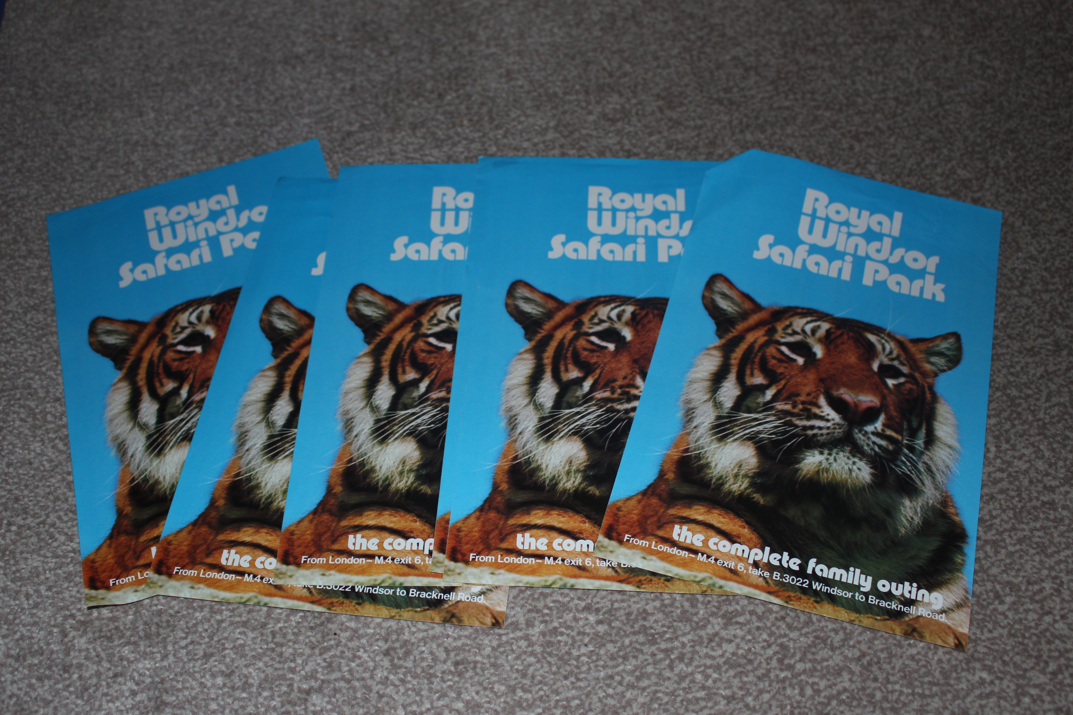 Safari Park flyers Royal Windsor