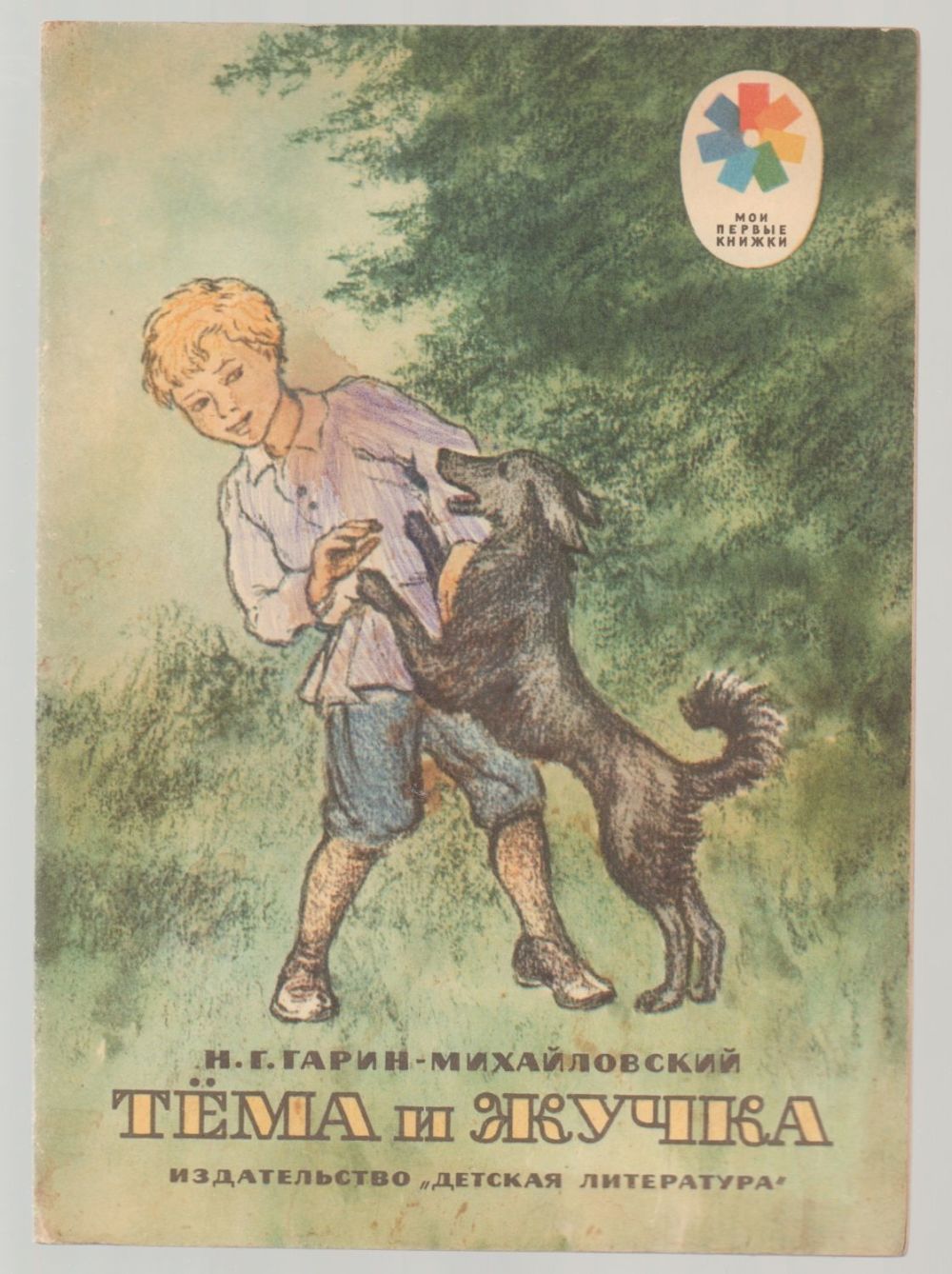 Детство темы рисунок к рассказу. Тема и жучка Гарин Михайловский Михайловский. Рассказ тема и жучка Гарин Михайловский