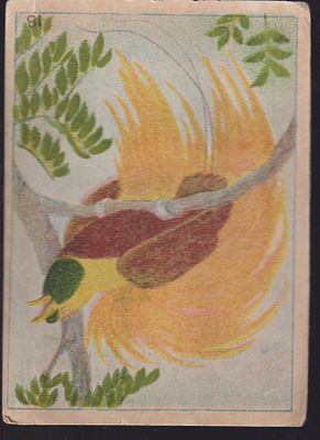 Хромолитография. Художник Ватагин. 20 - 30 г . 10.7 х 15 см.