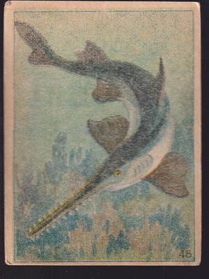 Открытка. Хромолитография. Художник Ватагин. 20 - 30 г. 10.7 х 15 см.