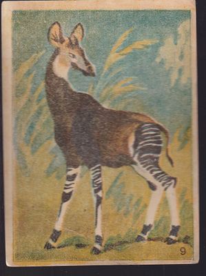 Хромолитография. Художник Ватагин. 20 - 30 г . 10.7 х 15 см.