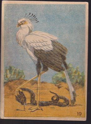 Хромолитография. Художник Ватагин. 20 - 30 г . 10.7 х 15 см.