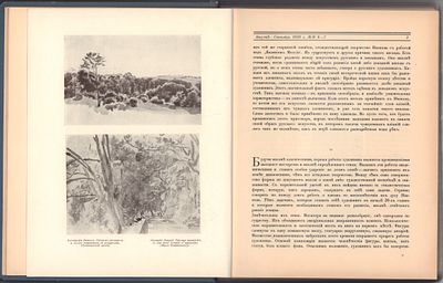 Аполлон. Три выпуска за 1916 г. в одном переплете. №№ 6 - 7, 8, 9 - 10. 
СПб. 96, 64, 110 с. 