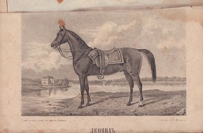 Журнал коннозаводства и охоты на 1855 год. № 1-4, январь-апрель 1855 г. Санктпетербург. В 