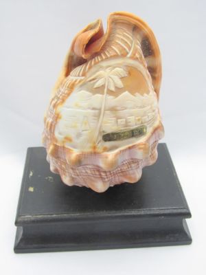 מיוחד! קונכיה מגולפת עם מראה הכנרת. מיוחד! קונכיה מעוטרת בעבודת יד אמן איכותית המראה של ים הגליל 