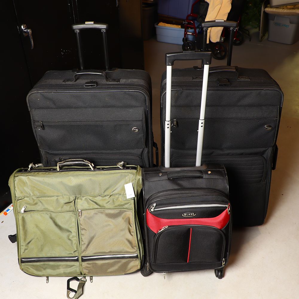 Lot 234: Luggage and garment bag