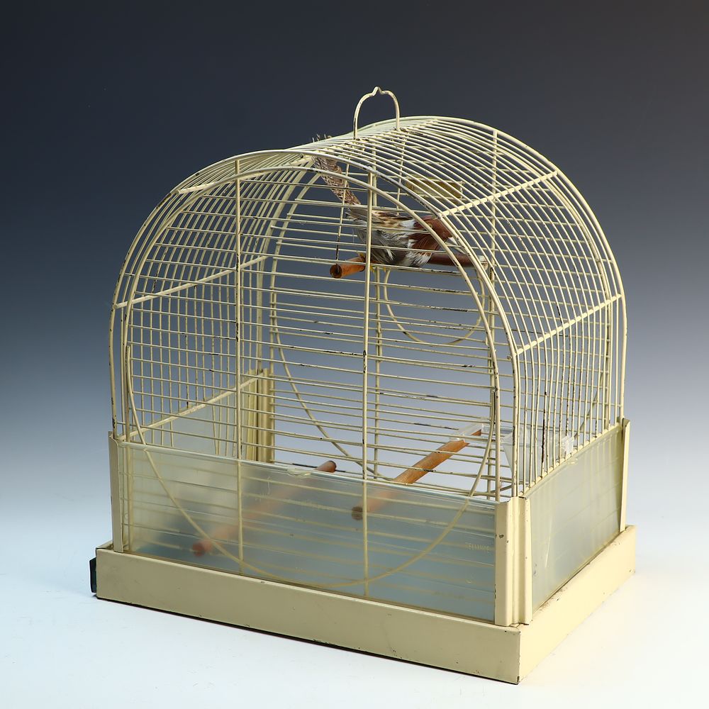 Lot 361: Vintage metal bird cage by Reliance