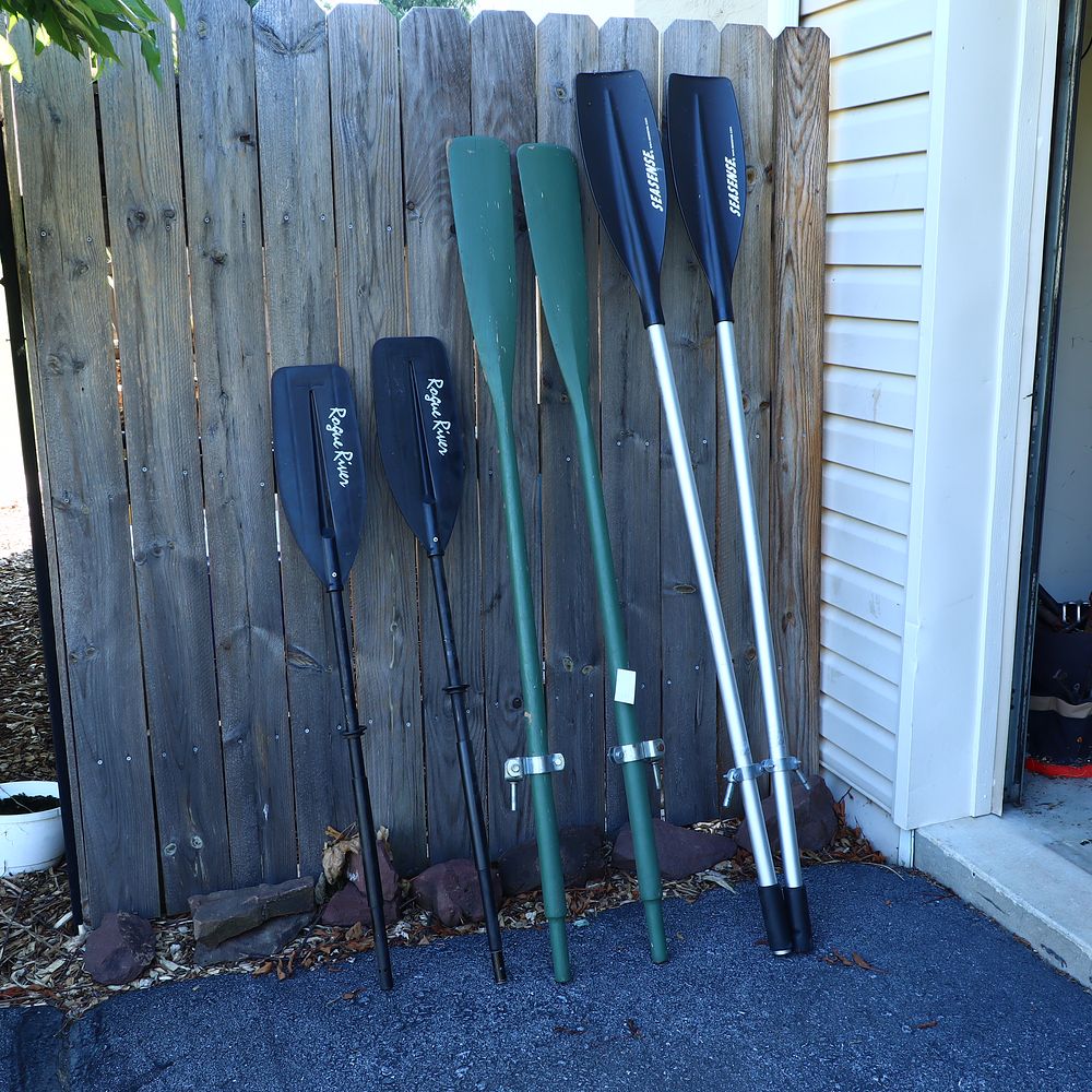 Lot 457: Lot of Oars